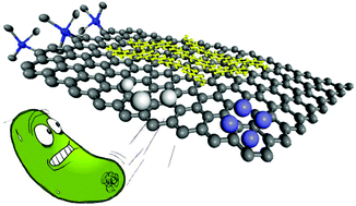 Graphical abstract: Antimicrobial graphene materials: the interplay of complex materials characteristics and competing mechanisms