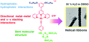 Graphical abstract: A rational molecular design of triazine-containing alkynylplatinum(ii) terpyridine complexes and the formation of helical ribbons via Pt⋯Pt, π–π stacking and hydrophobic–hydrophobic interactions