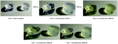 Graphical abstract: Large irradiation doses can improve the fast neutron/gamma discriminating capability of plastic scintillators