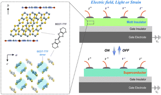 Graphical abstract: Field-, strain- and light-induced superconductivity in organic strongly correlated electron systems