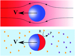 Graphical abstract: ‘Fuelled’ motion: phoretic motility and collective behaviour of active colloids