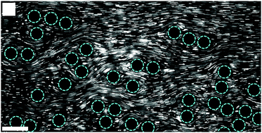 Graphical abstract: Two-dimensional flow of driven particles: a microfluidic pathway to the non-equilibrium frontier