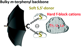 Graphical abstract: f-Block complexes of a m-terphenyl dithiocarboxylate ligand