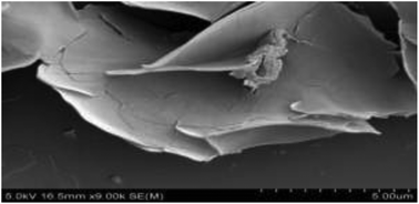 Graphical abstract: Ultra-high aspect ratio hybrid materials: the role of organic guest and synthesis method