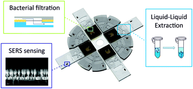 Graphical abstract: Injection molded lab-on-a-disc platform for screening of genetically modified E. coli using liquid–liquid extraction and surface enhanced Raman scattering