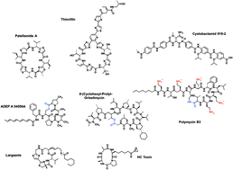 Graphical abstract: Are highly morphed peptide frameworks lurking silently in microbial genomes valuable as next generation antibiotic scaffolds?