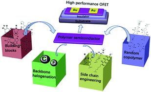 Graphical abstract: Design and effective synthesis methods for high-performance polymer semiconductors in organic field-effect transistors