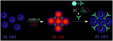 Graphical abstract: Cation-driven luminescent self-assembled dots of copper nanoclusters with aggregation-induced emission for β-galactosidase activity monitoring