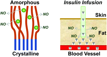 Graphical abstract: Nitric oxide-releasing semi-crystalline thermoplastic polymers: preparation, characterization and application to devise anti-inflammatory and bactericidal implants