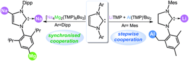 Graphical abstract: Polar organometallic strategies for regioselective C–H metallation of N-heterocyclic carbenes