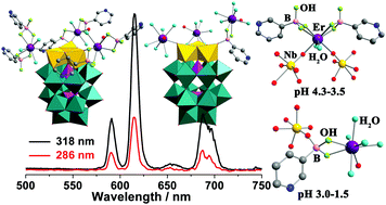 Graphical abstract: Boronic acid derivatized lanthanide–polyoxometalates with novel B–OH–Ln and B–O–Nb bridges