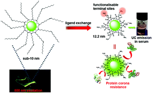 Graphical abstract: Facile preparation of multifunctionalisable ‘stealth’ upconverting nanoparticles for biomedical applications