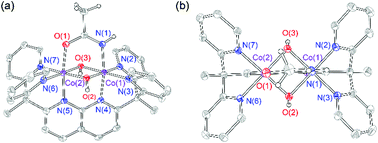 Graphical abstract: Oxygen activation at a dicobalt centre of a dipyridylethane naphthyridine complex