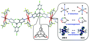 Graphical abstract: One-dimensional magnetic chain composed of CuII and polychlorinated dipyridylphenylmethyl radical: temperature-dependent Jahn–Teller distortion correlated to π-conjugation and magnetic properties