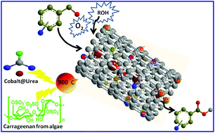 Graphical abstract: Cobalt-entrenched N-, O-, and S-tridoped carbons as efficient multifunctional sustainable catalysts for base-free selective oxidative esterification of alcohols