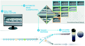 Graphical abstract: Automated detection and sorting of microencapsulation via machine learning