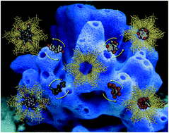 Graphical abstract: Crystallographic snapshots of host–guest interactions in drugs@metal–organic frameworks: towards mimicking molecular recognition processes