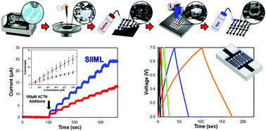 Graphical abstract: Enhanced electrochemical biosensor and supercapacitor with 3D porous architectured graphene via salt impregnated inkjet maskless lithography