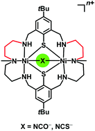 Graphical abstract: Selective coordination of cyanate and thiocyanate in the end-on mode: synthesis, structures and properties of [NiII2L(μ1,1-NCO)]+ and [NiII2L(μ1,1-NCS)]+ (L2− = macrocyclic N6S2 ligand)