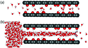 Graphical abstract: On the role of driving force in water transport through nanochannels within graphene oxide laminates