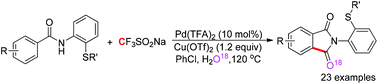 Graphical abstract: Pd-Catalyzed C(sp2)–H aminocarbonylation using the Langlois reagent as a carbonyl source