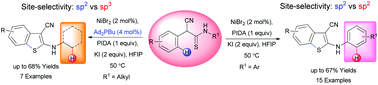 Graphical abstract: Nickel catalyzed site selective C–H functionalization of α-aryl-thioamides