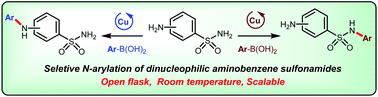 Graphical abstract: Chemoselective N-arylation of aminobenzene sulfonamides via copper catalysed Chan–Evans–Lam reactions