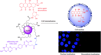 Graphical abstract: Towards potent but less toxic nanopharmaceuticals – lipoic acid bioconjugates of ultrasmall gold nanoparticles with an anticancer drug and addressing unit