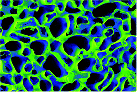 Graphical abstract: Infiltration of biomineral templates for nanostructured polypyrrole