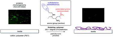 Graphical abstract: Nonfouling textiles with tunable antimicrobial activity based on a zwitterionic polyamine finish