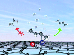 Graphical abstract: Selective hydrogenation of 1,3-butadiene catalyzed by a single Pd atom anchored on graphene: the importance of dynamics
