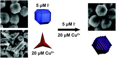 Graphical abstract: Iodide-induced differential control of metal ion reduction rates: synthesis of terraced palladium–copper nanoparticles with dilute bimetallic surfaces