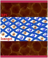 Graphical abstract: Synergistic design of a N, O co-doped honeycomb carbon electrode and an ionogel electrolyte enabling all-solid-state supercapacitors with an ultrahigh energy density