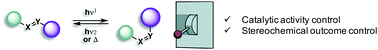 Graphical abstract: Photoswitchable catalysis based on the isomerisation of double bonds