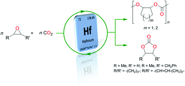 Graphical abstract: Anionic hafnium species: an active catalytic intermediate for the coupling of epoxides with CO2?