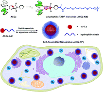 Graphical abstract: A single component self-assembled thermally activated delayed fluorescence nanoprobe