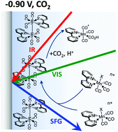 Graphical abstract: In situ study of the low overpotential “dimer pathway” for electrocatalytic carbon dioxide reduction by manganese carbonyl complexes