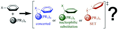 Graphical abstract: The diverse mechanisms for the oxidative addition of C–Br bonds to Pd(PR3) and Pd(PR3)2 complexes