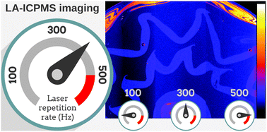 Graphical abstract: Analytical performance of a high-repetition rate laser head (500 Hz) for HR LA-ICP-QMS imaging