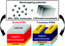 Graphical abstract: Nanotrapping memories