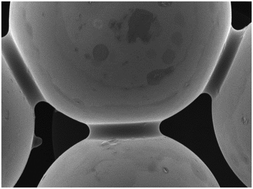 Graphical abstract: Hydrophobic polymerized ionic liquids for trace metal solid phase extraction: thallium transfer from hydrochloric acid media