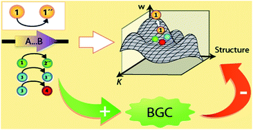 Graphical abstract: Evolutionary dynamics of natural product biosynthesis in bacteria