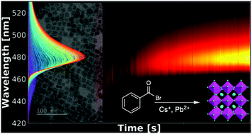 Graphical abstract: Low-dimensional perovskite nanoplatelet synthesis using in situ photophysical monitoring to establish controlled growth