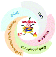 Graphical abstract: Phototherapy with layered materials derived quantum dots