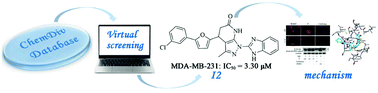 Graphical abstract: Discovery, biological evaluation, structure–activity relationships and mechanism of action of pyrazolo[3,4-b]pyridin-6-one derivatives as a new class of anticancer agents