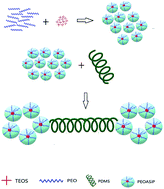 Graphical abstract: Synthesis and characterization of amphiphilic branched silica derivatives associated with oligomeric medium