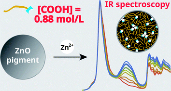 Graphical abstract: The concentration and origins of carboxylic acid groups in oil paint