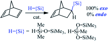 Graphical abstract: The selective hydrosilylation of norbornadiene-2,5 by monohydrosiloxanes