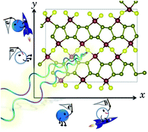 Graphical abstract: Copper halide diselenium: predicted two-dimensional materials with ultrahigh anisotropic carrier mobilities