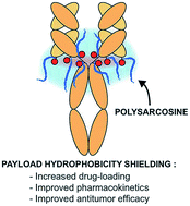 Graphical abstract: Monodisperse polysarcosine-based highly-loaded antibody-drug conjugates